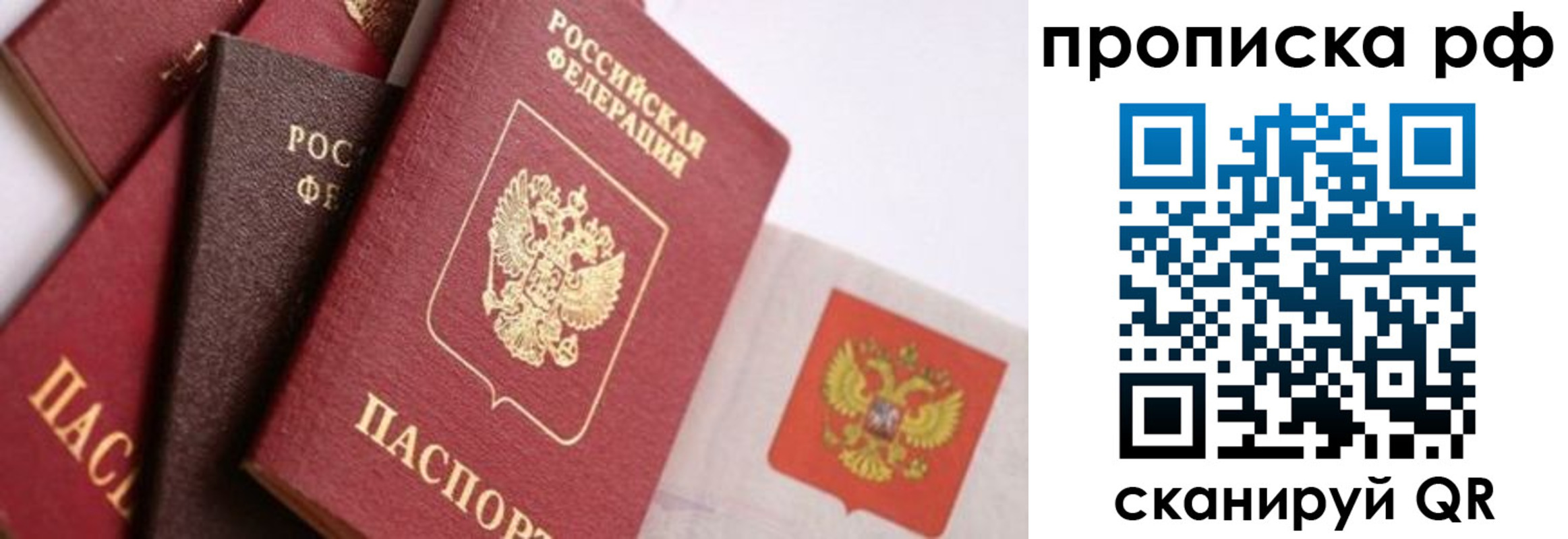 прописка ребенка в Балтийске